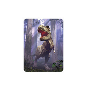 Obrázek z Magnet 3D 7x9cm - T-Rex (25) 